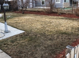 Cleanups by Chris Heath for Thera A. in Denver, CO