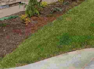 Weeding by Robert Marsico for Richard B. in Gresham, OR