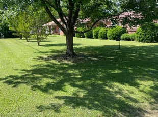 Lori R.'s Lawn Service service result