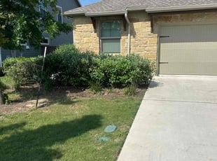 Bush Trimming by Jesus Cepeda for Allison S. in Leander, TX