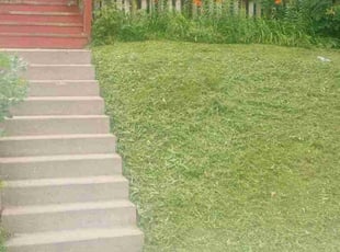 David R.'s Lawn Service service result
