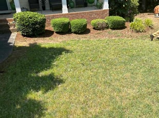 Bush Trimming by Billy Bryant for melissa C. in Clayton, NC