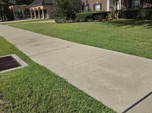 Douglas D.'s Lawn Service service result