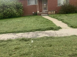 Gage H.'s Yard Cutting service result