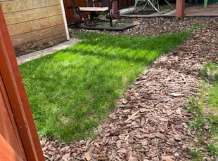 Weeding by Alesandre Duarte for Emmett W. in Sterling, VA