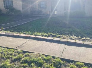 Leaf Removal by JosΓ© Peraza for Jennifer J. in McKinney, TX