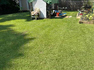 James M.'s Lawn Mowing service result