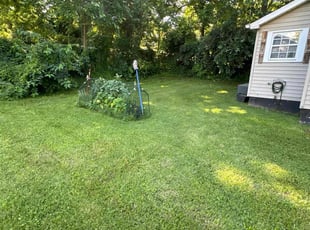 Gary B.'s Lawn Mowing service result