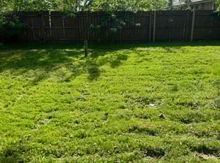Jimmie S.'s Lawn Maintenance service result