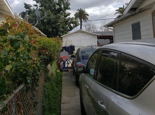 Bush Trimming by Daniel Perez for Michael L. in Los Angeles, CA