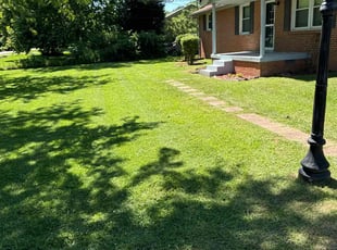 Chad G.'s Yard Cutting service result