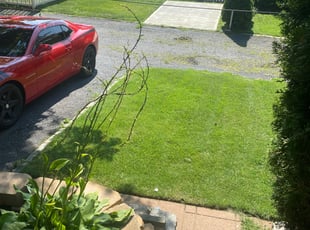 Bush Trimming by DeHaven Pollard for Jalen C. in Drexel Hill, PA