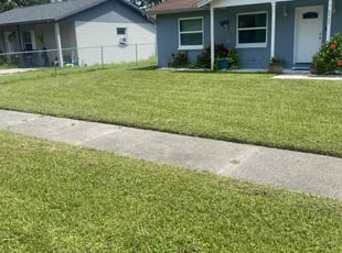 Steven E.'s Lawn Mowing service result