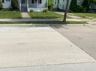 Bush Trimming by Valerie Glenn for Angie B. in Eastpointe, MI