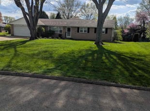 Maria G.'s Lawn Care service result