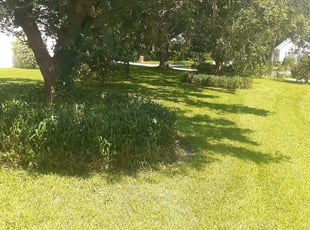 Bush Trimming by Shaun Gapp for Mario M. in Winter Haven, FL