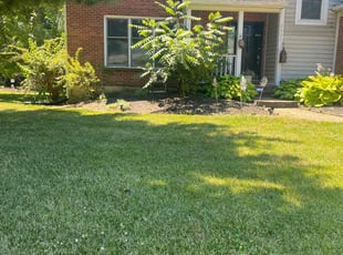 Thor W.'s Lawn Care service result