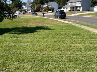 Joseph S.'s Lawn Mowing Service service result