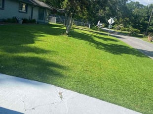 Debbie S.'s Lawn Care service result