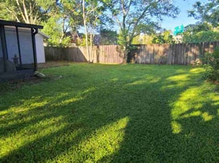Youngsoo K.'s Lawn Mowing Service service result