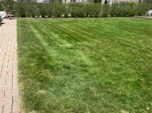 KAROLEIGH M.'s Grass Cutting service result
