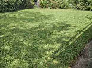 Daniel S.'s Lawn Service service result