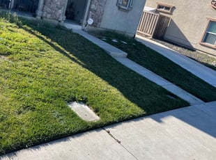 Cleanups by David Wharton for Karla R. in Lathrop, CA