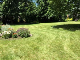 Peter A.'s Lawn Service service result