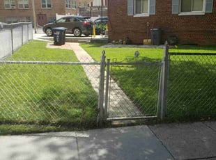 Bush Trimming by Sahale Hammond for Ron B. in Washington, DC