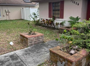 Leaf Removal by Miguel Santana for Ashley I. in Lutz, FL
