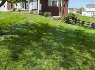 Harold B.'s Lawn Maintenance service result