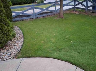 Rachel L.'s Lawn Mowing service result