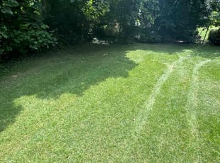 SangTaek l.'s Lawn Care service result