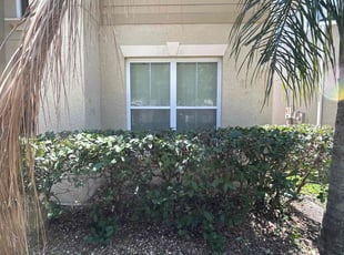 Bush Trimming by Ramon Taguja for Malcolm P. in Tampa, FL