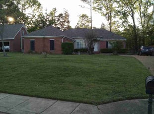 Renee J.'s Lawn Care service result