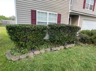 Bush Trimming by Derrick Crudup for Shawna R. in Raleigh, NC