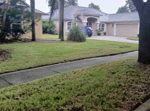 Cleanups by Jeffrey Garcia for Steven E. in Port Orange, FL