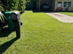Kahlia S.'s Lawn Service service result
