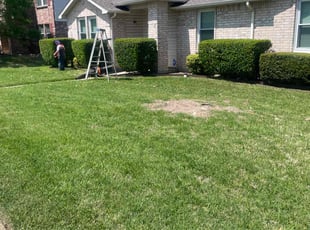 Weeding by JosΓ© Peraza for David V. in Rockwall, TX