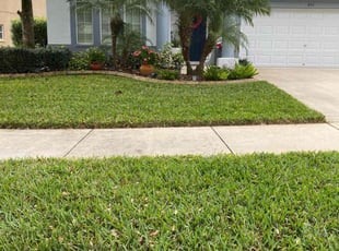 Dwight B.'s Grass Cutting service result