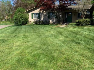 Janie W.'s Lawn Mowing service result