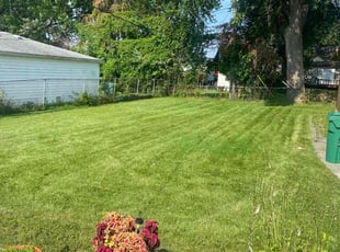 Ortagus F.'s Lawn Care service result