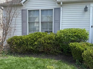 Bush Trimming by Robert Kelley for Isaac S. in Hilliard, OH