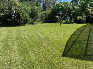 Ramona T.'s Lawn Mowing Service service result