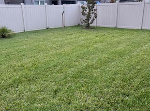 Shannon W.'s Lawn Mowing Service service result