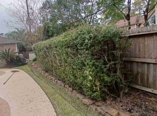 Bush Trimming by Hector Cruz for Zach B. in Houston, TX