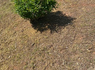 Landscaping by Ira Anderson for Jeffery m. in Gainesville, GA