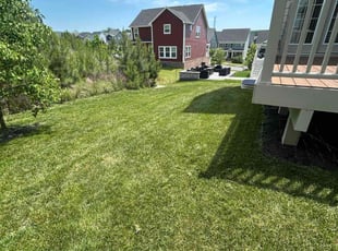Dwight B.'s Grass Cutting service result