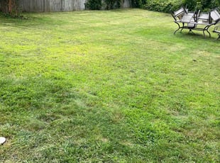 Christoff G.'s Lawn Service service result