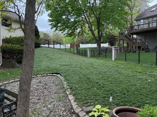 Mary B.'s Grass Cutting service result